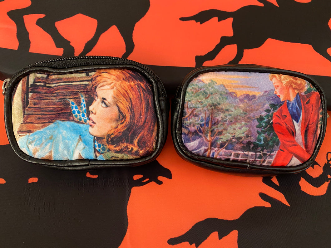 Nancy Drew Haunted Bridge Coin Purse - 2 Different Cover Art