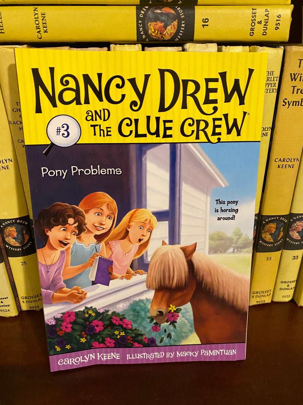 Nancy Drew Clue Crew Pb #3 Pony Problems